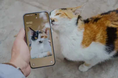 БетКарт Казино Мобилно приложение